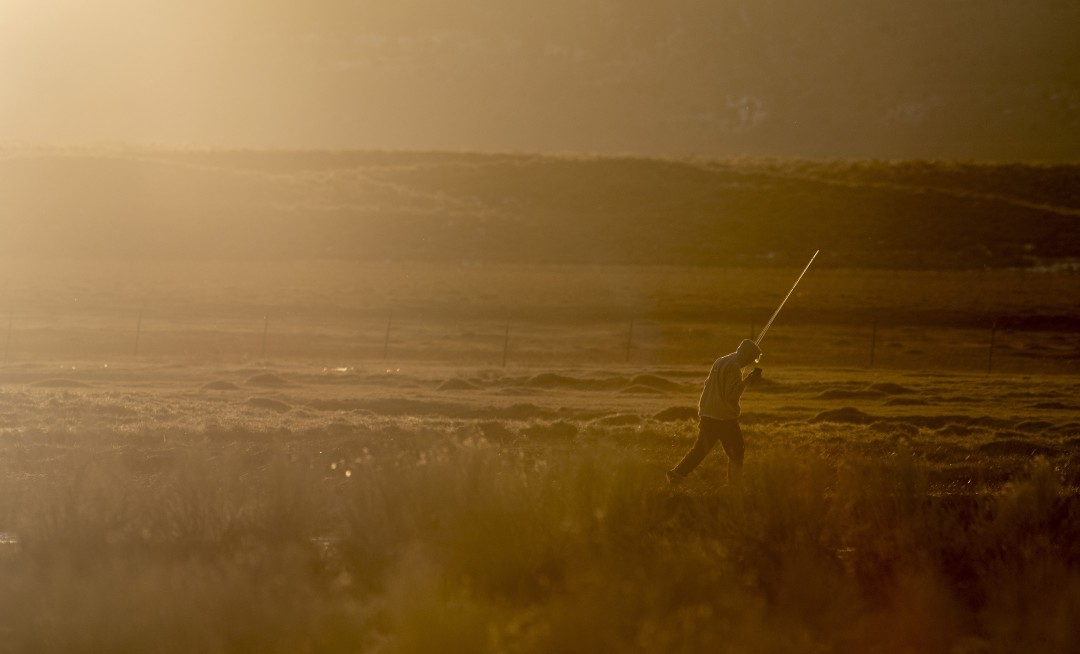 After stealing Owens Valley water, L.A. to cut off its ranchers, citing climate change
