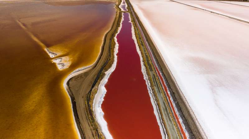 PICS: See ‘another planet,’ the salt ponds of S.F. Bay